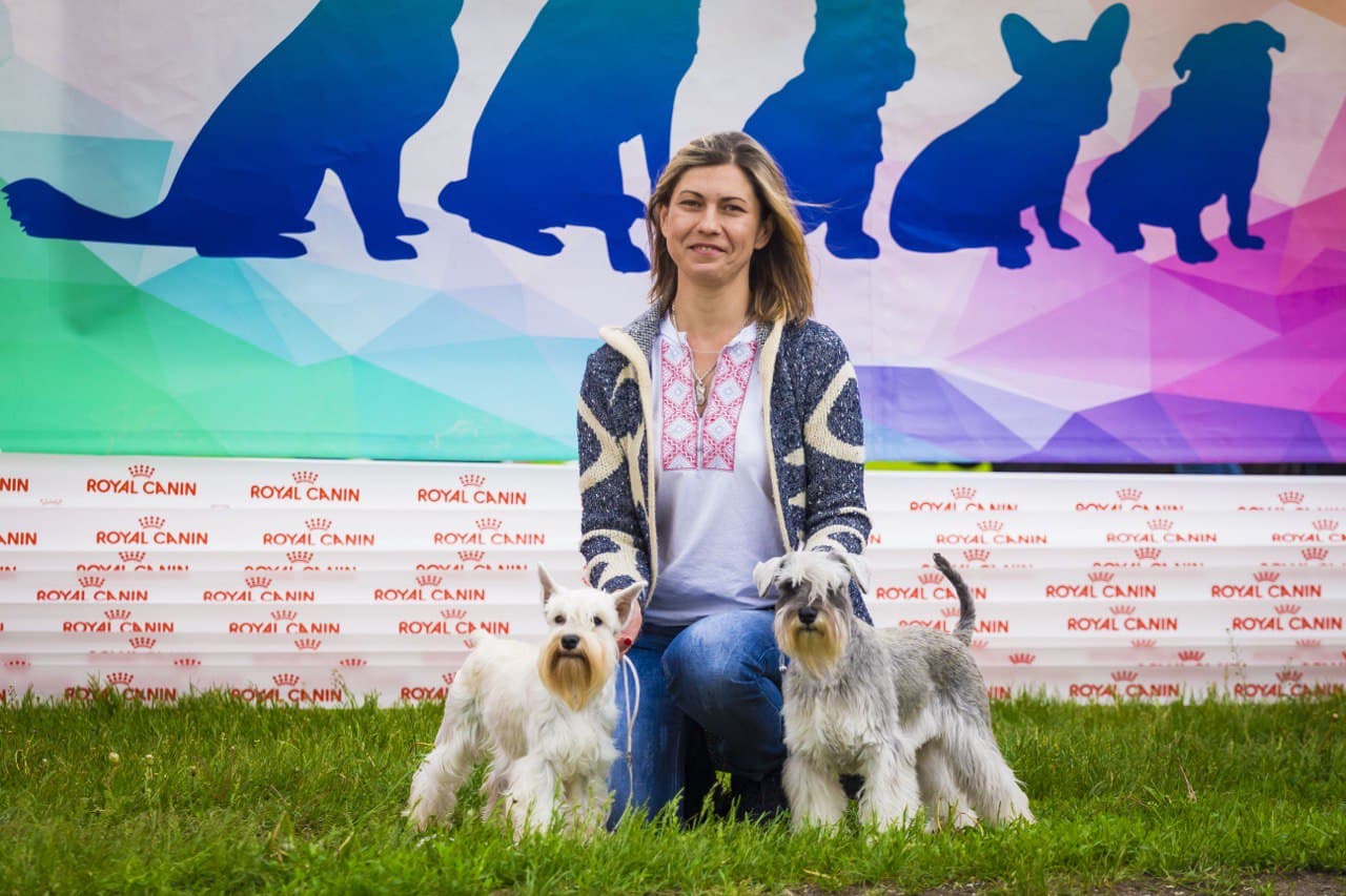 Выставка собак цвергшнауцер Украина